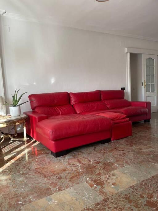 Cal Salmare Seafront Apartment With Rooftop Terrace And Pool 卡拉费尔 外观 照片